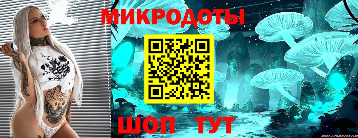 Псилоцибиновые грибы мицелий Пыть-Ях